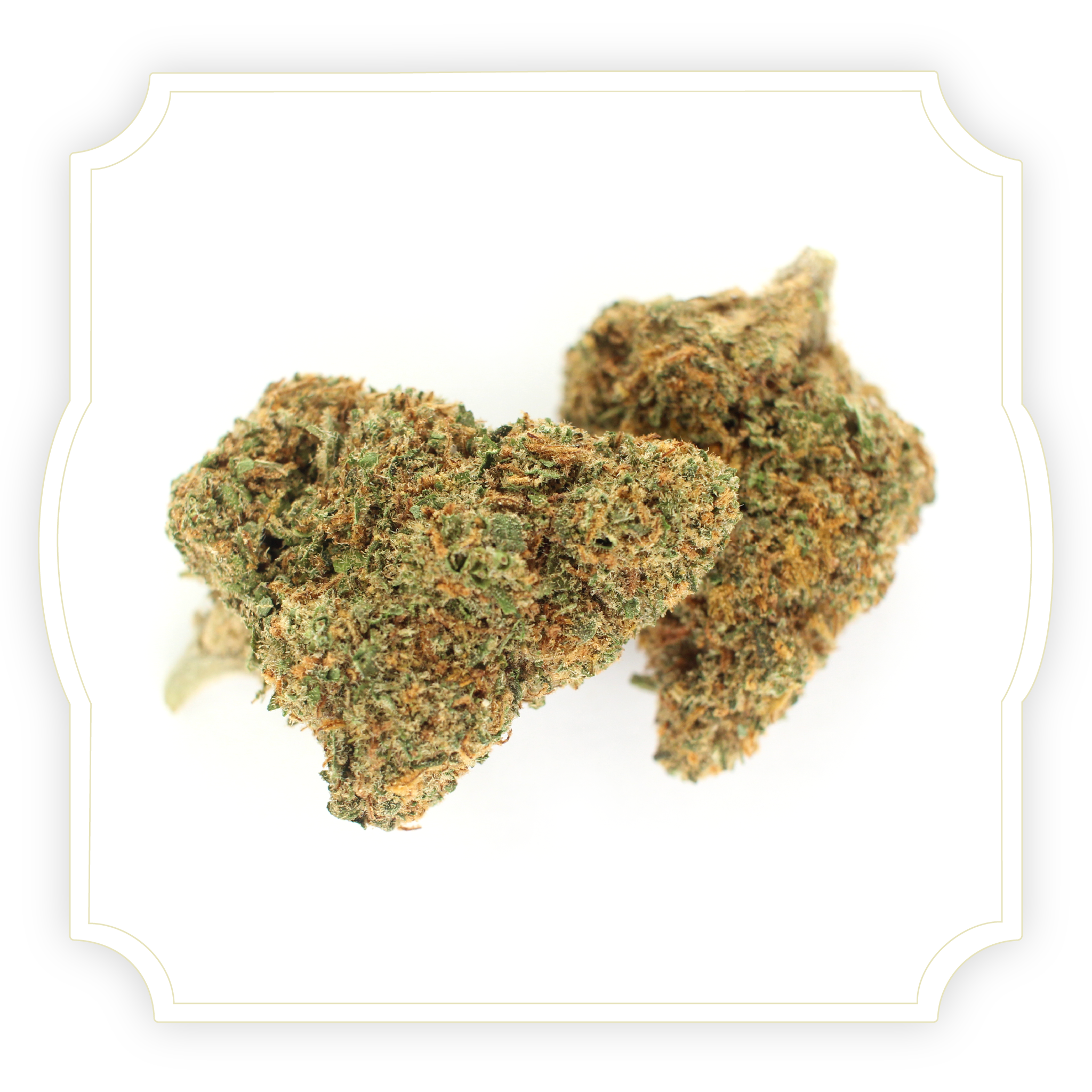 Photo of Blueberry Octane CBD hemp flower on a white background