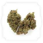Load image into Gallery viewer, Dutch Punch CBD flower close up on white background
