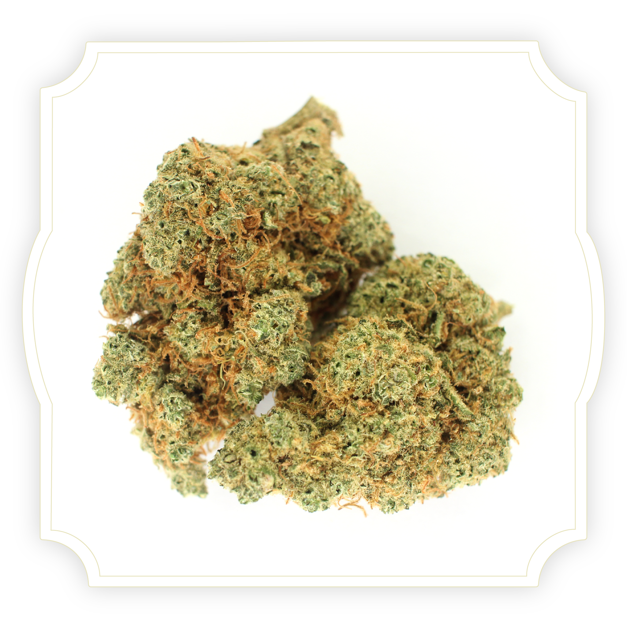 Photo of Gorilla Mandarine CBD tea flower buds on a white background