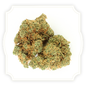 Photo of Gorilla Mandarine CBD tea flower buds on a white background
