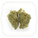 Load image into Gallery viewer, Ice Cream Cake CBD bud close up on white background
