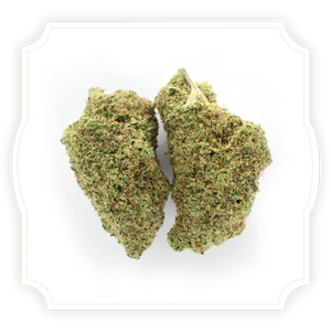 Ice Cream Cake CBD bud close up on white background