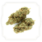 Load image into Gallery viewer, Mela Sour CBD flower close up on white background
