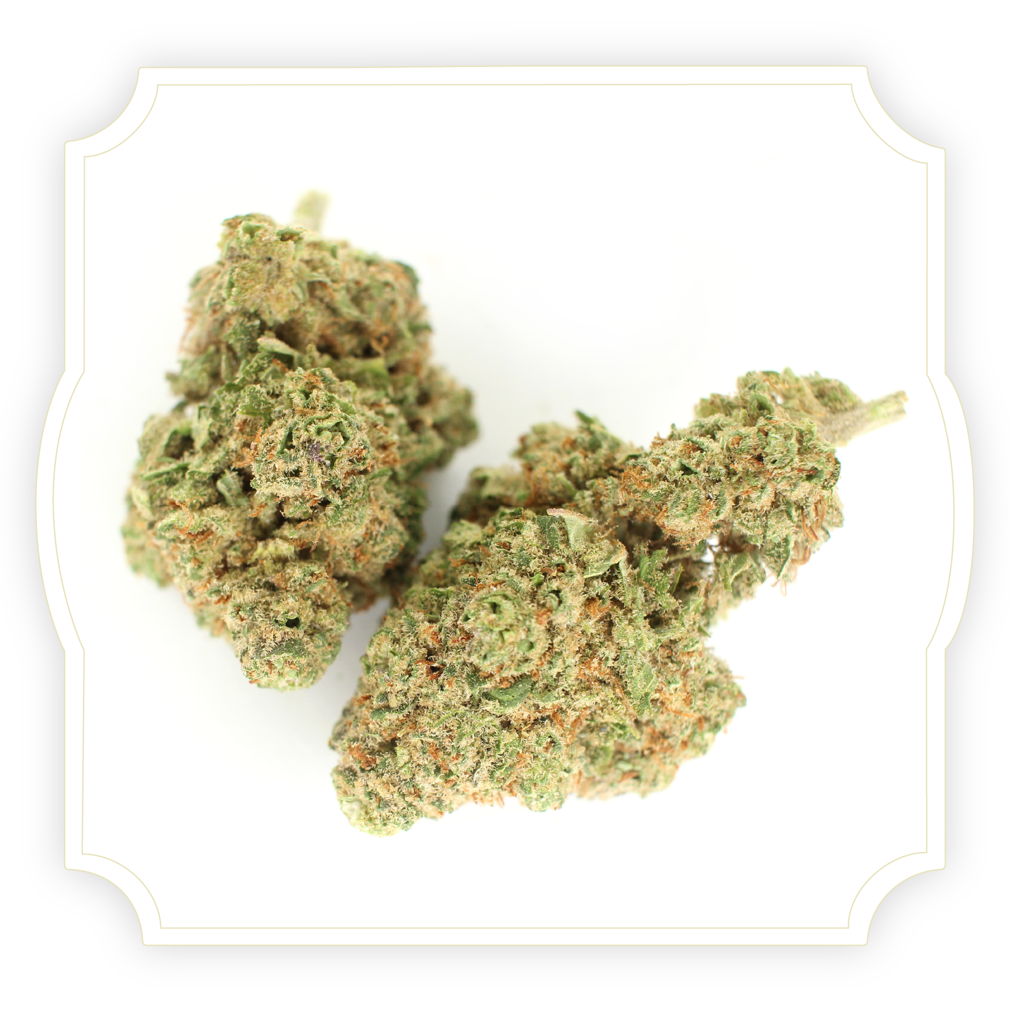 Pineapple Sour | CBD Hemp Flower