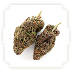 Load image into Gallery viewer, Sapphire Kush CBD flower close up on white background
