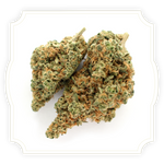 Load image into Gallery viewer, Solero Cream CBD flower close up on white background
