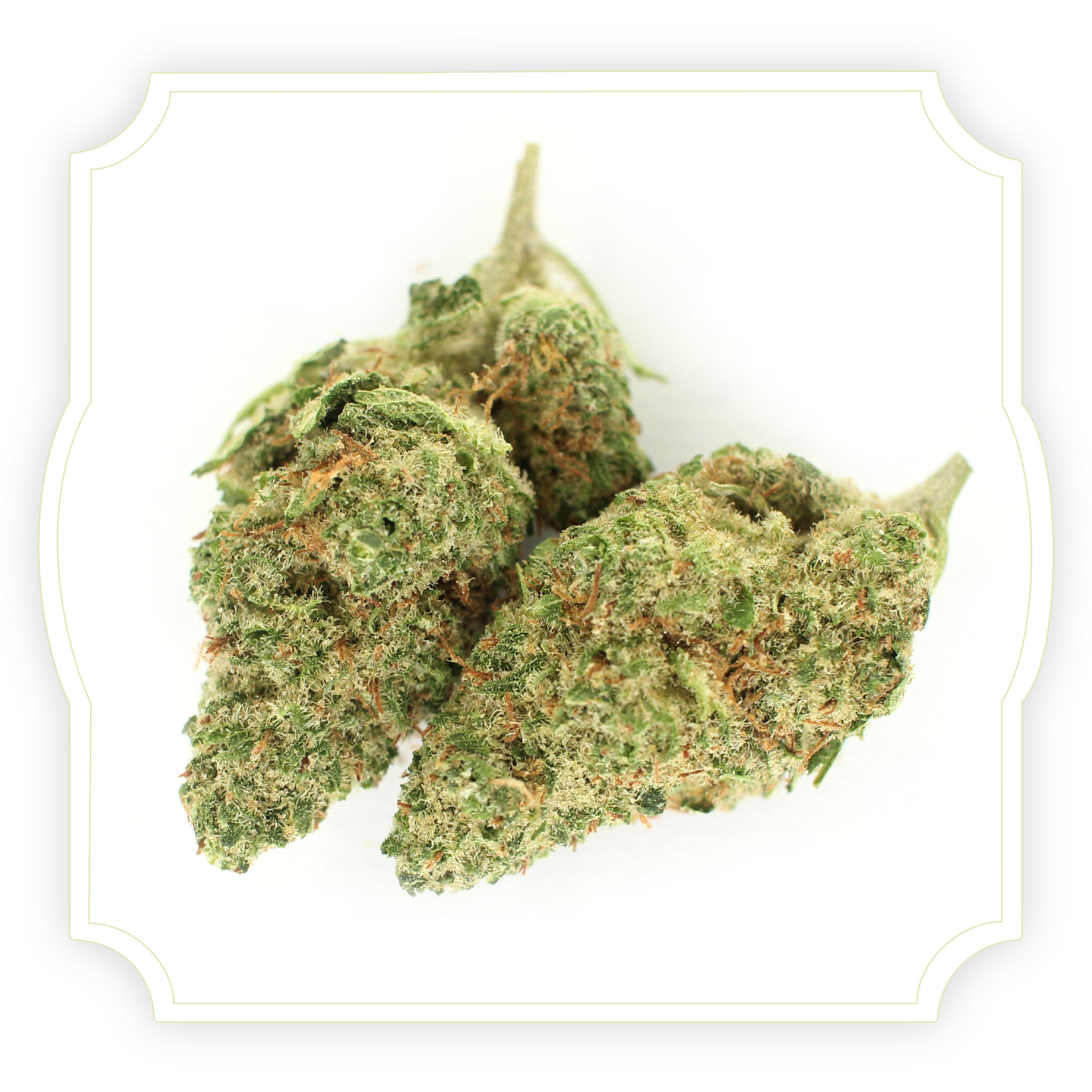 Sour Diesel | CBD Hemp Flower