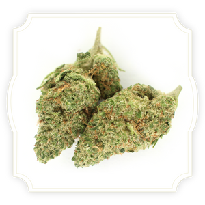 Sour Diesel | CBD Hemp Flower