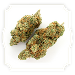 Load image into Gallery viewer, Teriyaki Sauce CBD flower close up on white background
